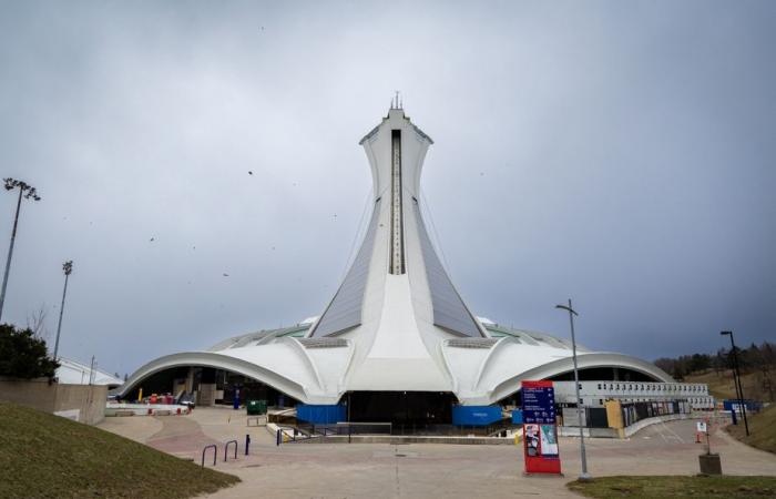 Das Olympiastadion gehackt | Die Presse