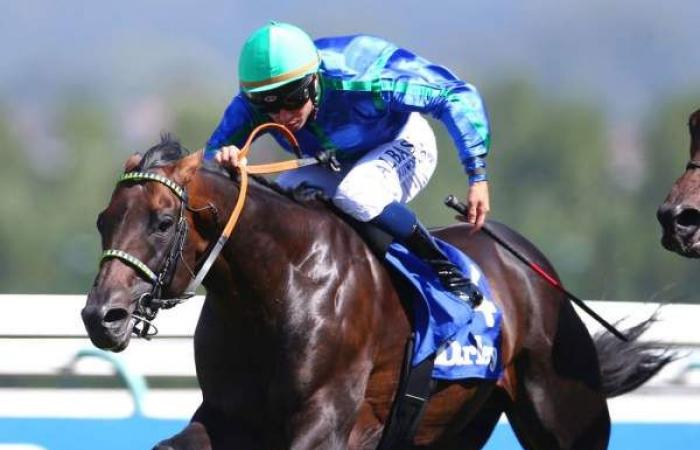 Kostenlose PARISLONGCHAMP PRICE-Vorhersage