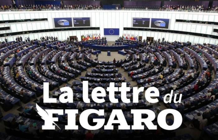 Der Figaro-Brief vom 28. November 2024