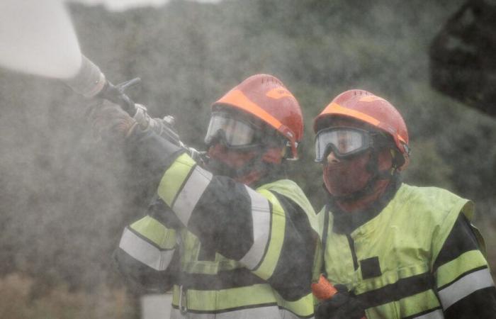 Mehr als 1,5 Millionen Todesfälle pro Jahr sind weltweit auf die Brandverschmutzung zurückzuführen