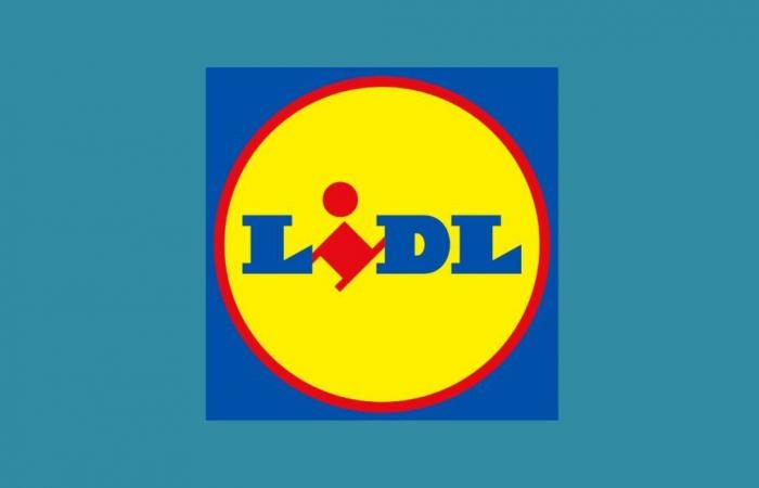 Lidl schlägt mit 3 Parkside-Angeboten zu Rekordpreisen hart zu