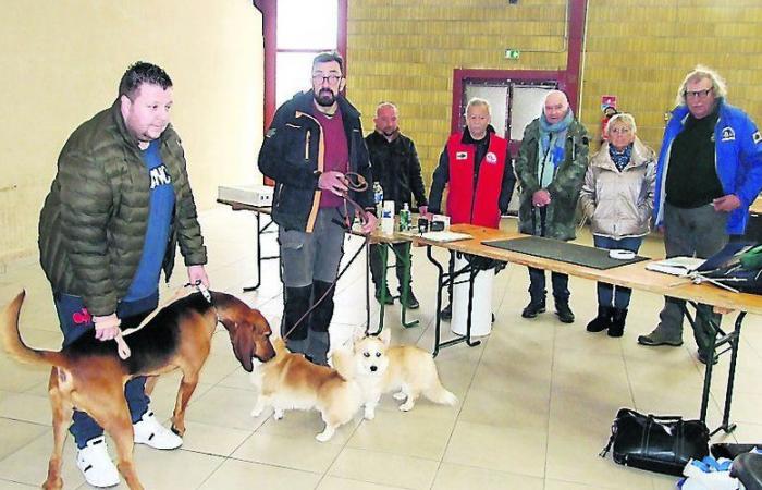 Monclar-de-Quercy. Canine Society 82: neue Bestätigung