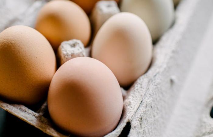 Bei Costco verkaufte Bio-Eier wegen Salmonellenbedenken zurückgerufen