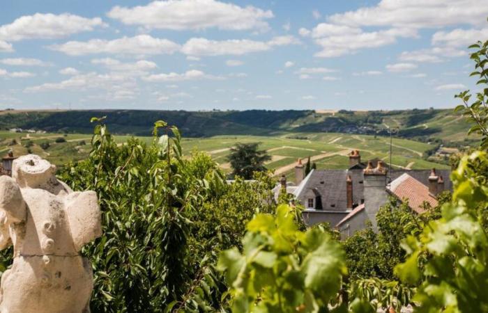 Unsere Lieblingsadressen an der Loire-Weinstraße