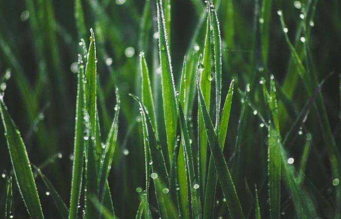 Wetter: weißer Frost, + 7°C… thermische Inversion letzte Nacht in Aveyron, wie viel war es in Ihrer Stadt?