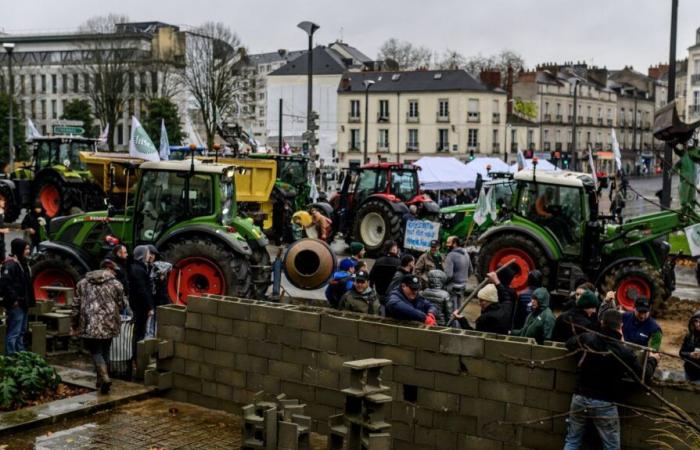 Umweltverbände prangern Gewalt bei Demonstrationen an