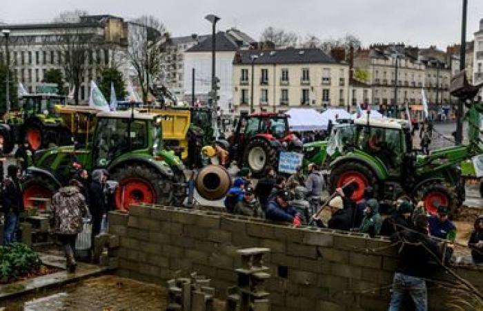 Umweltverbände prangern Gewalt bei Demonstrationen an