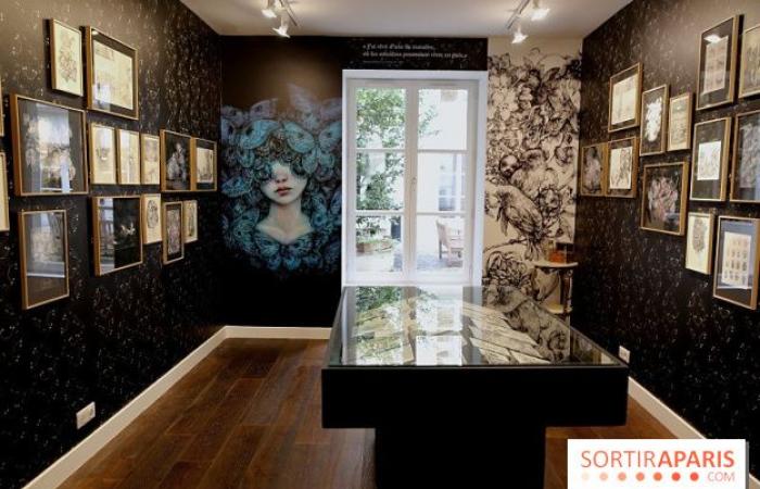 Benjamin Lacombe präsentiert „Papillon Noir“, die kostenlose Ausstellung in der Galerie Gallimard, unsere Fotos