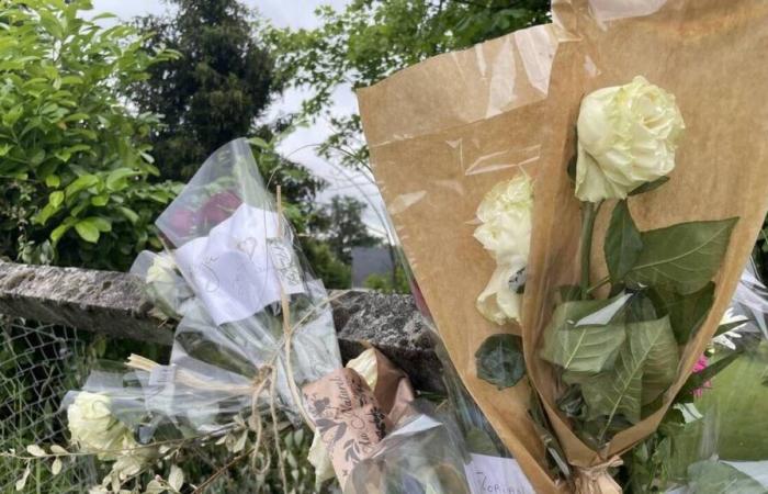 Nach dem Tod von Julie und Florian in Orne wurde der Fahrer zu zwei Jahren Gefängnis verurteilt