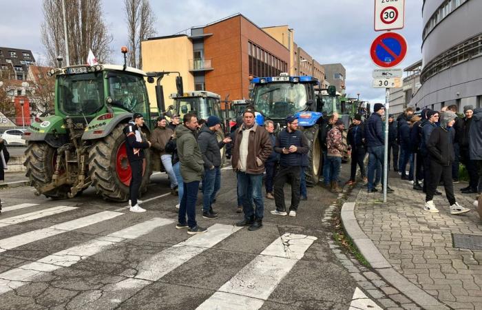 Landwirte haben die „Bürokratie“ satt