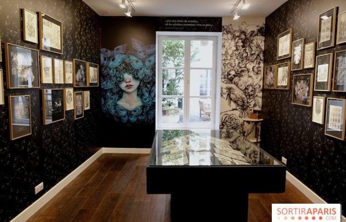 Benjamin Lacombe präsentiert „Papillon Noir“, die kostenlose Ausstellung in der Galerie Gallimard, unsere Fotos