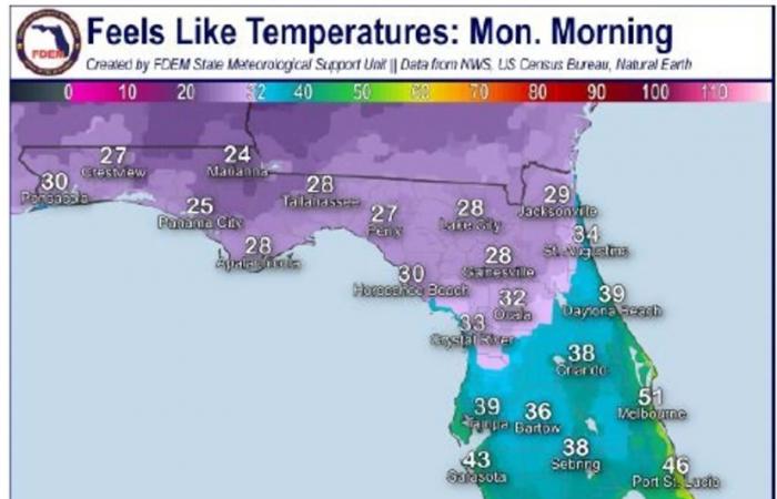 Die Karte zeigt Städte in Florida, die wegen der polaren Kaltfront zufrieren werden