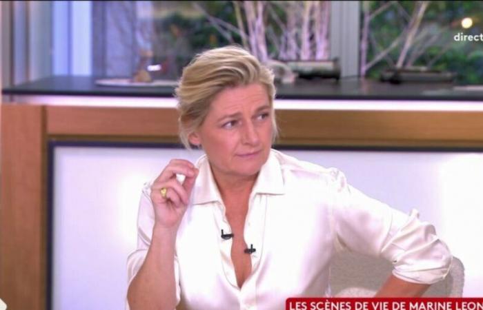 Anne-Elisabeth Lemoine schimpft in C heftig auf Sie, die überraschten Kolumnisten (VIDEO)