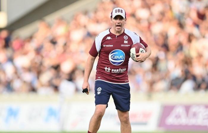 Top 14 – Noel McNamara (UBB): „Zu wissen, dass wir noch Fortschritte machen können, ist sehr interessant“