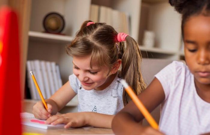 Inklusives Schreiben erfreut sich wachsender Beliebtheit, über seine Anwendung in Schulen ist jedoch wenig bekannt