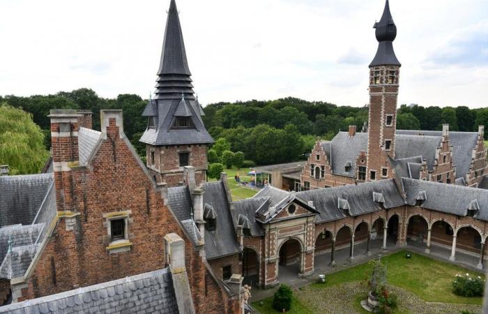 Angebot von drei Millionen Euro wurde nicht angenommen, heute liegt der Startpreis bei 500.000 Euro: Das berühmte Antwerpener Schloss steht (noch) zum Verkauf