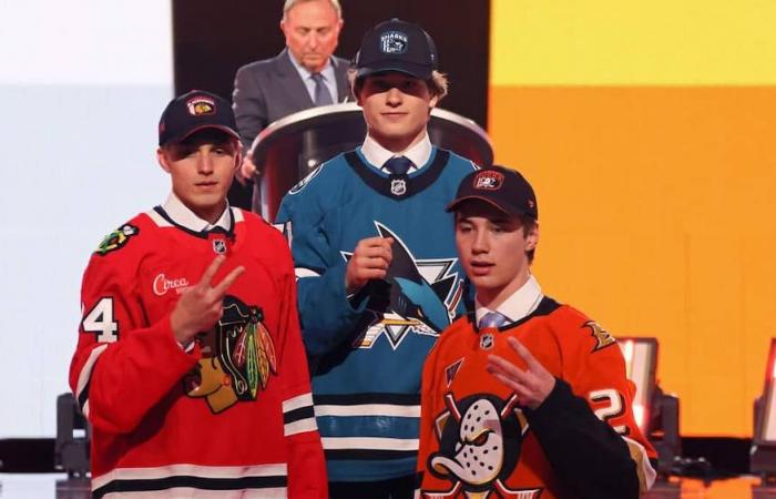 Top 5 aus dem neuesten NHL-Draft: Was machen sie bisher?