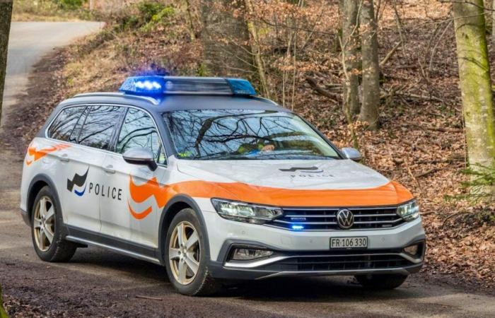 Freiburg: Er flüchtet vor einer Kontrolle und rammt das Polizeiauto