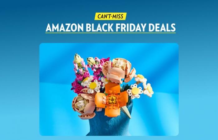 Die 15 besten Amazon Black Friday Lego-Angebote für Erwachsene und Kinder