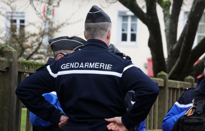 Neugeborenes wurde nackt und tot im Teich gefunden