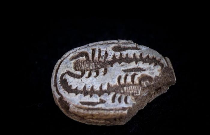 3.500 Jahre altes ägyptisches Amulett von Teenager beim Wandern in Israel entdeckt