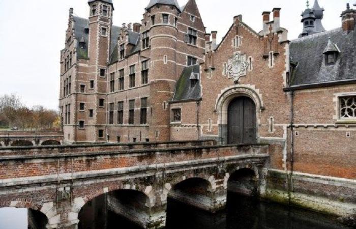 Angebot von drei Millionen Euro wurde nicht angenommen, heute liegt der Startpreis bei 500.000 Euro: Das berühmte Antwerpener Schloss steht (noch) zum Verkauf