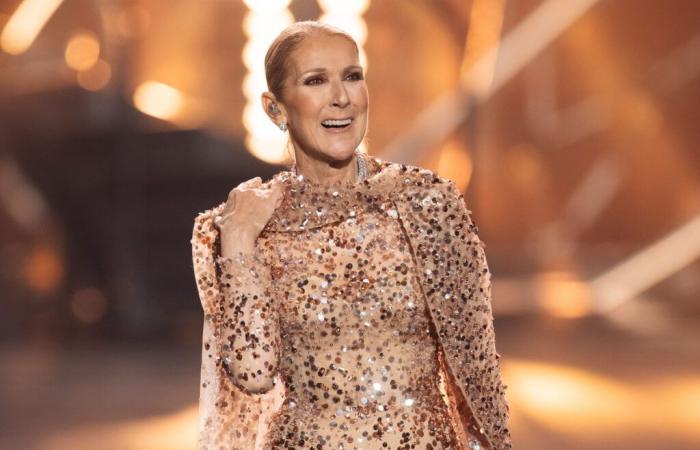 Celine Dion krank: Album, Konzerte … ihre lang erwartete Rückkehr wurde aus gesundheitlichen Gründen auf Eis gelegt