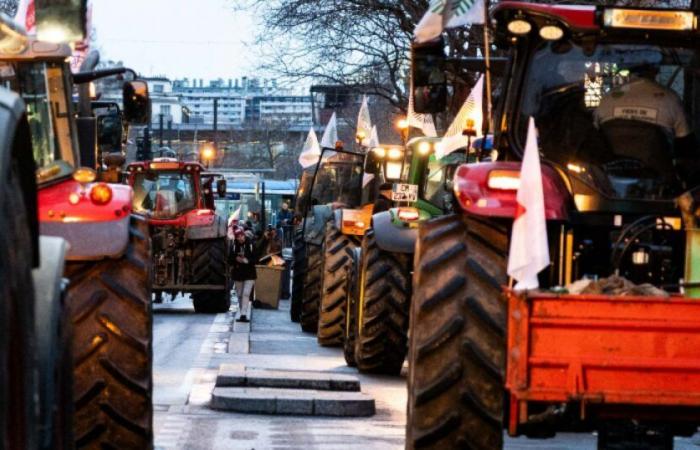 Hautes-Alpes: Landwirte mauern das Gelände eines Umweltverbandes ein: Nachrichten