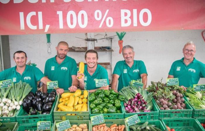 Combrand. Ein Ehrenpreis Méléagrine 2024 für Légumes und Co