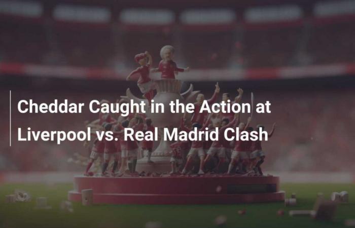 Cheddar im Spiel Liverpool vs. in Aktion echtes Madrid