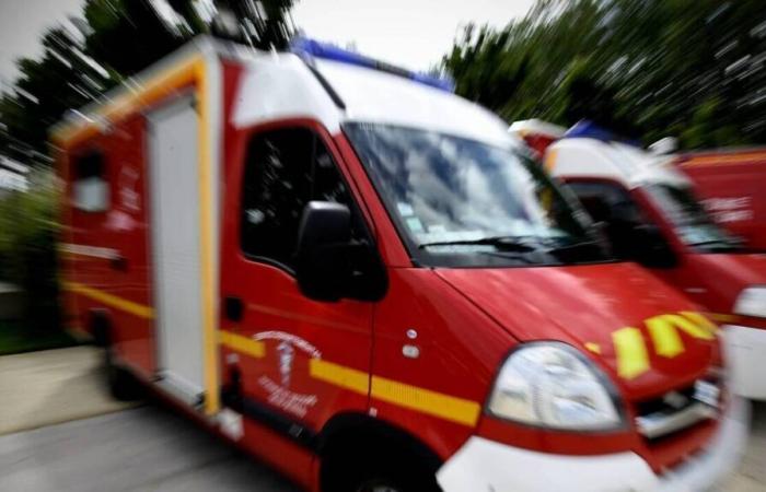 Ein Mann stürzt sich von einer Brücke und wird auf einer Autobahn in Maine-et-Loire von einem Lastwagen angefahren