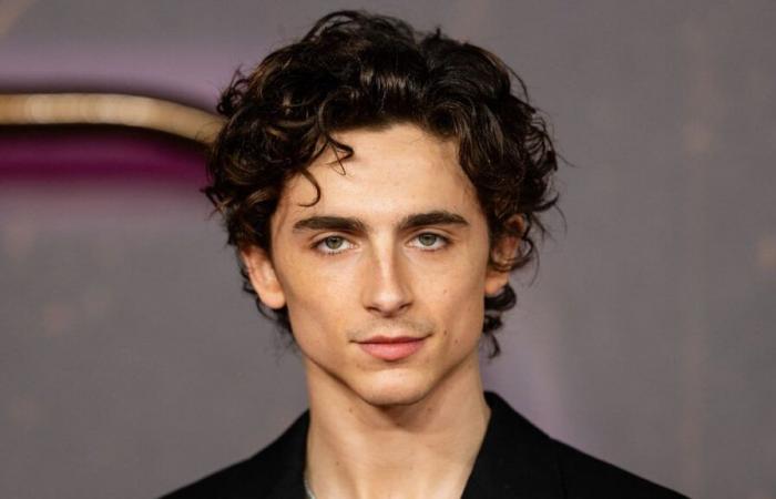 Timothée Chalamet hätte in „Gladiator 2“ mitspielen können, aber Ridley Scott entschied sich anders, nachdem er diese Serie gesehen hatte