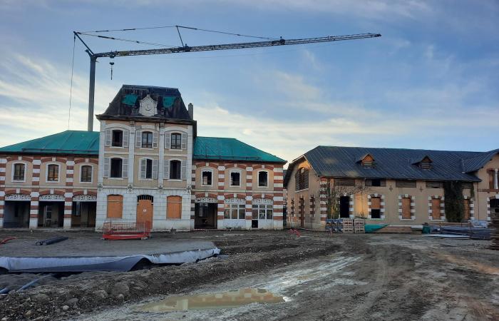 Welches Projekt wird im Haras vorbereitet?