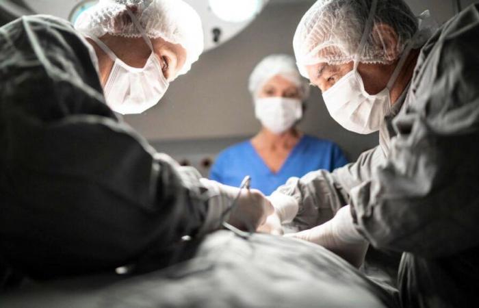 Transplantationen in der Schweiz: 2023, ein Rekordjahr