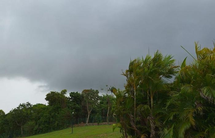 In Guyana ist die kurze Regenzeit da