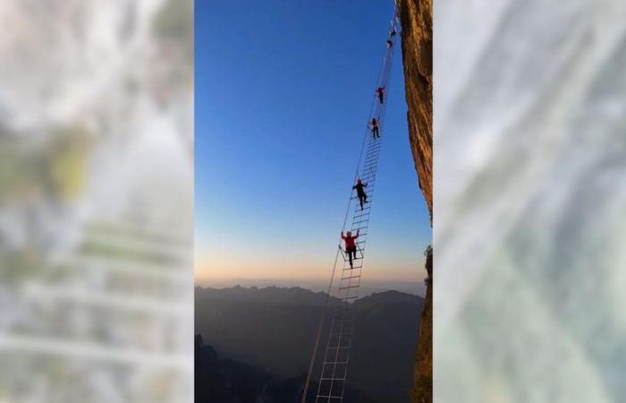 VIDEO. Mehr als 1.000 Menschen pro Tag: Warum wollen so viele Touristen eine Leiter erklimmen, die mehr als 1.500 m über dem Boden liegt?