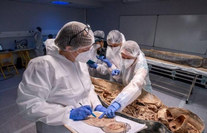 Notre-Dame de Paris. Die Enthüllungen einer „außergewöhnlichen“ archäologischen Stätte