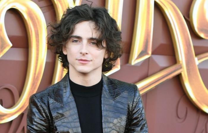 Timothee Chalamet enthüllt zwei große Filme, für die er vorgesprochen, aber nicht gebucht hat, und erklärt, was schief gelaufen ist | Vorsprechen, Casting, Filme, Timothee Chalamet | Just Jared: Promi-News und Klatsch