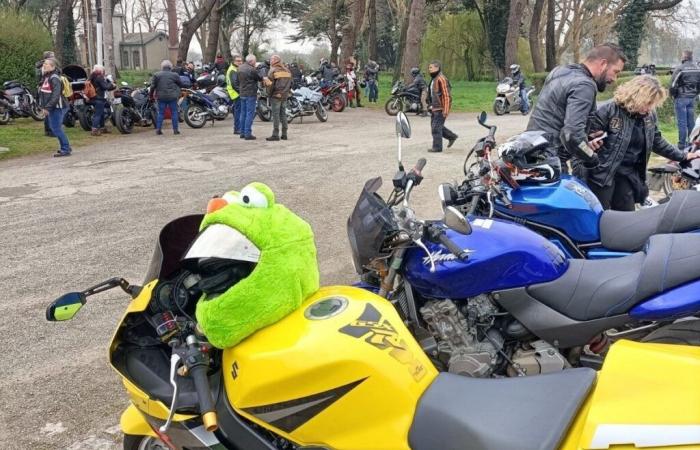 Warum an diesem Sonntag 200 bis 300 Motorräder durch das Retzer Land kreuzen werden