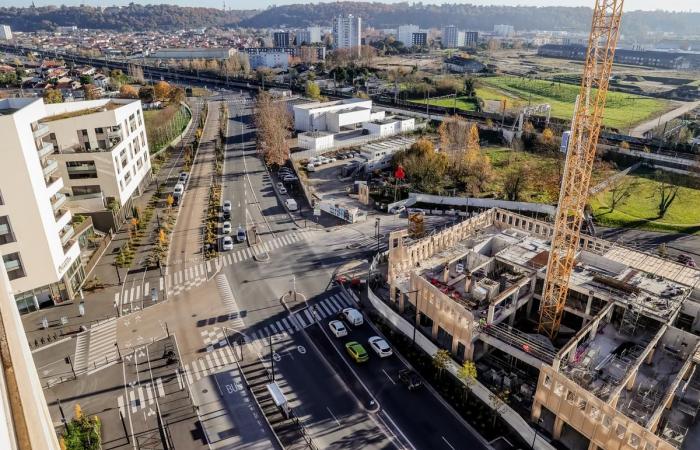 An einem verdichteten rechten Ufer erwacht Belvédère zum Leben