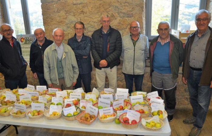 Salles-la-Source. Auf dem Weg zu einem Buch über die Früchte des Aveyron mit lokalen Sorten 12