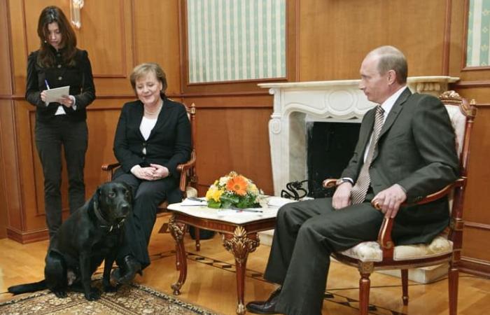 17 Jahre später blickt Putin auf den Moment zurück, als er Merkel mit seinem Hund erschreckte