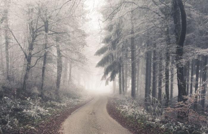 Achten Sie auf Frost und gefrierenden Nebel!