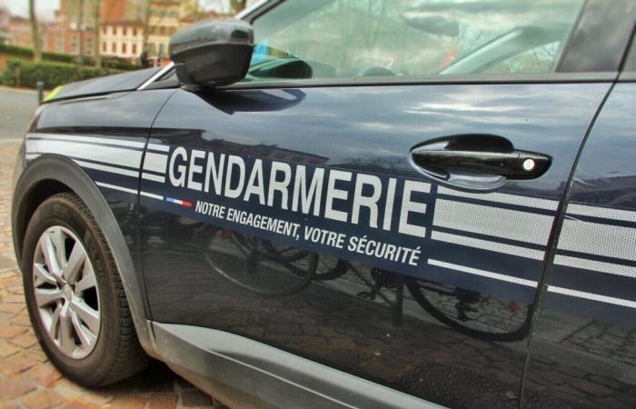 Sie tarnen ein gestohlenes Auto grob, täuschen die Polizei von Lot jedoch nicht