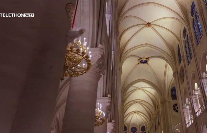 Einblick in die Pracht der restaurierten Kathedrale