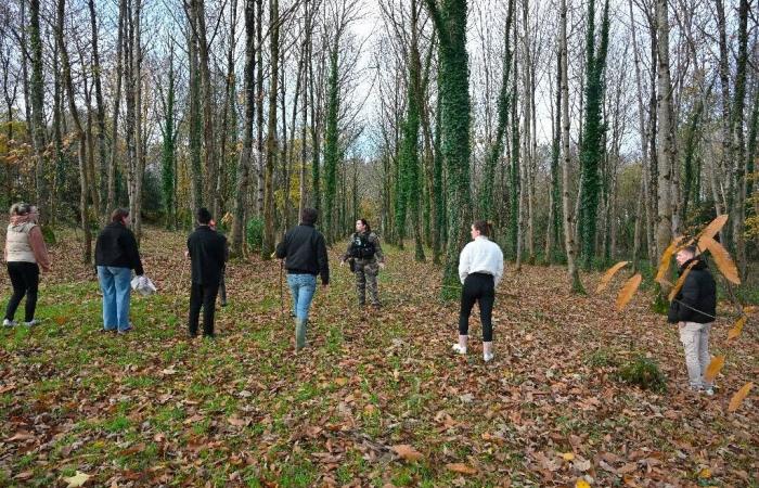 700 bis 800 Freiwillige mobilisierten diesen Freitag zu einer Jagd in der Bretagne, um die 13-jährige Morgane zu finden, die seit Montag vermisst wird