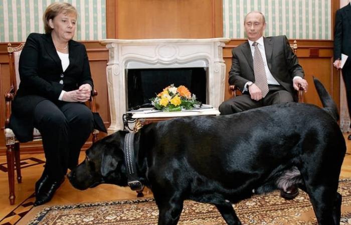 17 Jahre später blickt Putin auf den Moment zurück, als er Merkel mit seinem Hund erschreckte