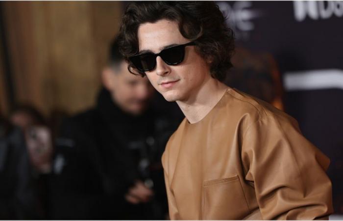 „Du hast nicht den richtigen Körper“ sagte Timothée Chalamet für einen Actionfilm