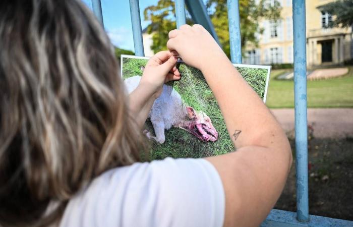 USON fordert Dax heraus, unser Bericht in La Maison nach den Überschwemmungen, die Schließung der Notaufnahme in Decize … Die unvergesslichen Neuigkeiten von diesem Freitag