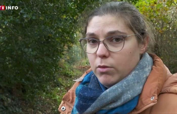 „Wir möchten wirklich, dass Sie zurückkommen“: der Anruf der Mutter von Morgane, 13, die seit Montag in der Nähe von Guingamp vermisst wird